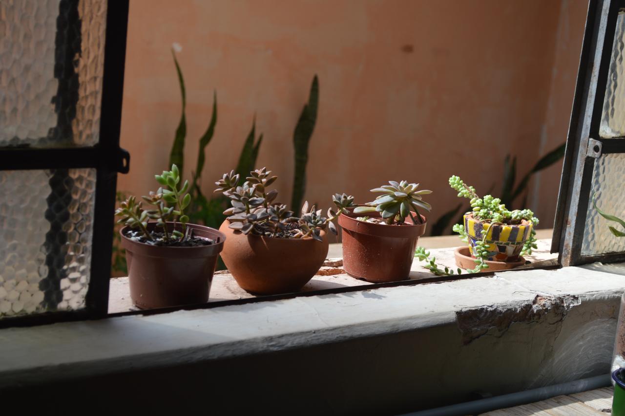 Good House Hostel Sao Jose do Rio Preto  Exterior photo